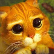 The imperium of panda