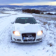 Domnu MiRăuț |  SKINS