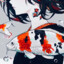 xiyou