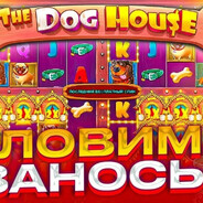 свага+додэп