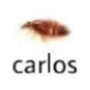 carlos