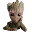 THE GROOT