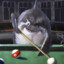 Pool Shark