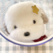 ⊹︵︵︵⊹𝄞⊹︵︵︵