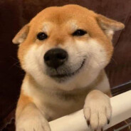 不当佛系青年辣