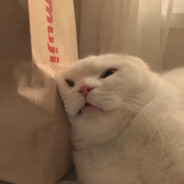 今日无事|勾栏听曲