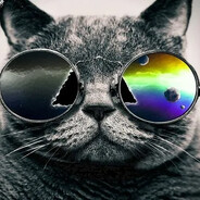 В составе шаурмы