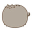 hoshi