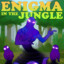 ENIGMA EN LA JUNGLA