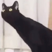 橙色