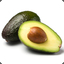 avocado_farmer