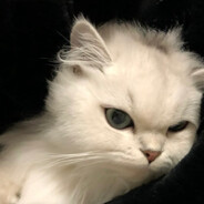 吃饭的时候不饿