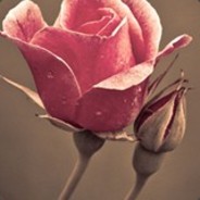 伤得太狠丶销了魂