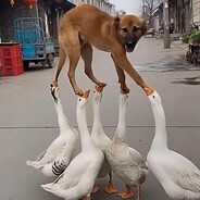 谁还有多余资金