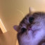 ♥
