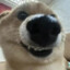 八嘎八嘎lcy