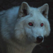 doggopoggo jN - steam id 76561198122635661