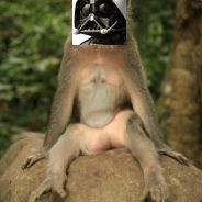 d0nut - steam id 76561197983413821