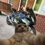 Catamine