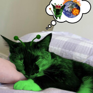 ponabirauyt dolbaebov