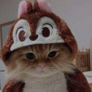 я и бал принцесс