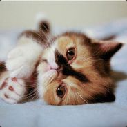 Hi_mr_dota