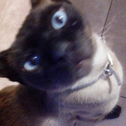 timo`