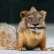 Qcold - steam id 76561198254389297