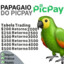 Papagaio do PicPay