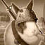 Steam avatar