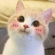 Mepзость - steam id 76561198256451204