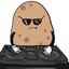 potato