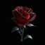 Essence