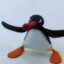 pingu the pengwing