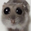 meiR-