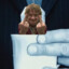 Bilbo Teabaggins