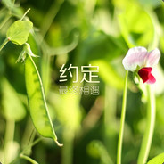 菜得真实！！！