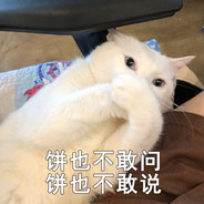 我敲可爱，敲死了可爱