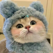 超级无敌大大大大大大鹅