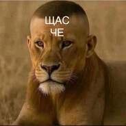 TALENT|СверхуИпоБоК