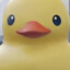 Emperor Quacks