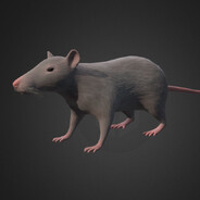 Remy - steam id 76561198271441039