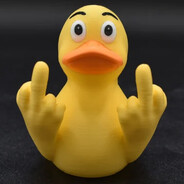Mr.Duck06