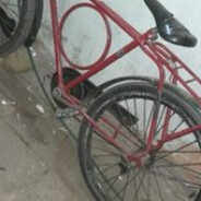 bicicreta emprestada