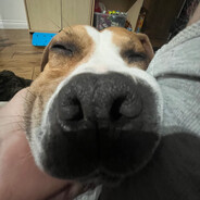 zlow - steam id 76561199048134518