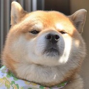 青春猪头少年不会梦到