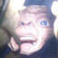 Tobbo