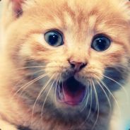 inalaxe ;3 - steam id 76561197960269746