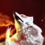 Wolf™