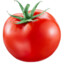 The Tomato